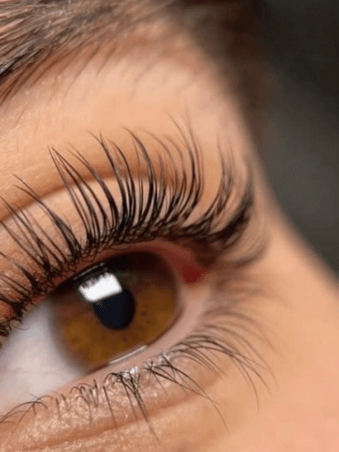 Queennails — post 2
